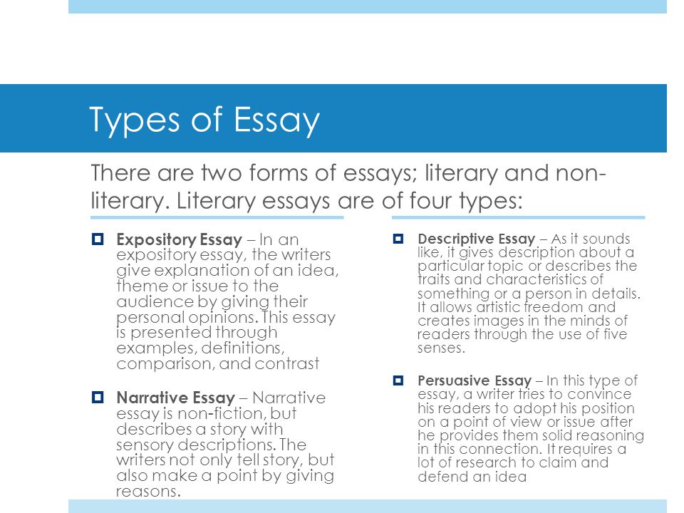 Types of Essays: End the Confusion